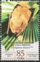 Cuban Yellow Bat (Dasypterus insularis)