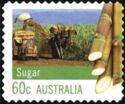 Sugar Cane