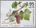 Pinot Gris