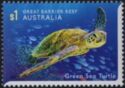 Green Sea Turtle (Chelonia mydas)