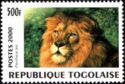 Lion (Panthera leo)