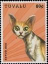Devon Rex