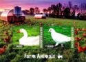 Farm Animals