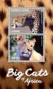 Big Cats of Africa