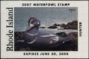 Harlequin duck (Histrionicus histrionicus) decoy