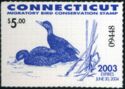 American black duck (Anas rubripes)
