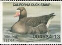 Greater white-fronted goose (Anser albifrons)