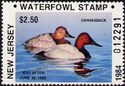 Canvasback (Aythya valisineria)