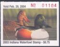 Northern shoveler (Spatula clypeata)