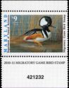 Hooded merganser (Lophodytes cucullatus)