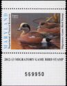 American wigeon (Mareca americana)