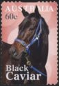 Black Caviar (racehorse)