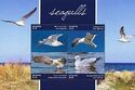 Seagulls