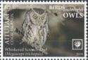 Whiskered Screech-Owl (Megascops trichopsis)
