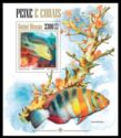 Coral Fishes