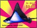 Spotted eagle ray (Aetobatus narinari)