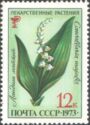 Lily of the Valley (Convallaria majalis)