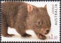 Wombat (Vombatus ursinus)