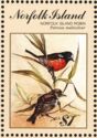 Norfolk Island Robin (Petroica multicolor) Cock and Hen