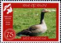 Greylag Goose (Anser anser)