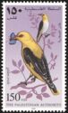 Golden Oriole (Oriolus oriolus)