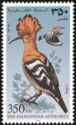 Eurasian Hoopoe (Upupa epops)