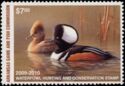 Hooded merganser (Lophodytes cucullatus)
