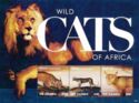 Wild Cats