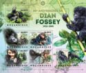 80th Anniversary of the Birth of Dian Fossey