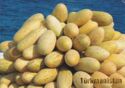 Turkmen Melons