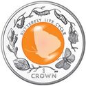 1 Crown (Butterfly Lifecycle)