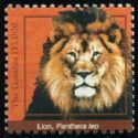 Lion (Panthera leo)