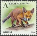 Fox Cub (Vulpes vulpes)
