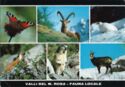 Valli del M. Rosa – Fauna locale