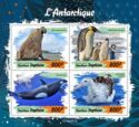 Antarctic Fauna