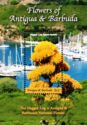 Flowers of Antigua & Barbuda