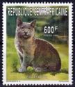 Chartreux Cat (Felis silvestris catus)