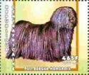 Puli