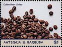 Coffee Bean (Coffea)