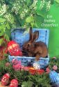 Ein | frohes | Osterfest