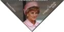 Princess Diana Dressed in Pink
