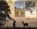 Fallow Deer (2)