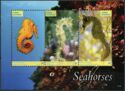 Seahorses
