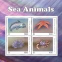 Sea animals