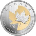 50 Dollars (25th anniversary of the silver Maple Leaf)