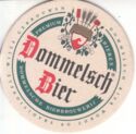 Dommelsch Bier