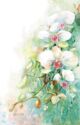 White Orchids