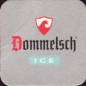 Dommelsch