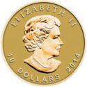 10 Dollars (Maple Leaf Gold)