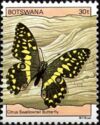 Citrus Swallowtail (Papilio demodocus)